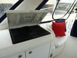 2006 Carver 56' Voyager Sky Lounge grill
