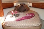 2006 Sea Ray 44' Sundancer berth